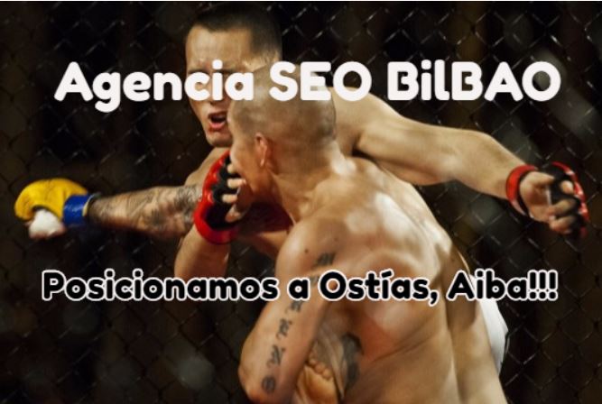 Salir de penalizaciones Google Servicios SEO Almería