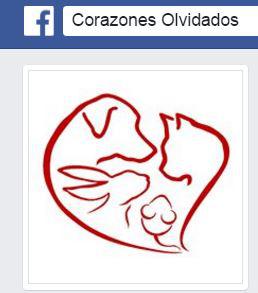 Asociación corazones olvidados Granada Asociación corazones olvidados Granada